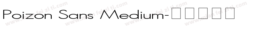 Poizon Sans Medium字体转换